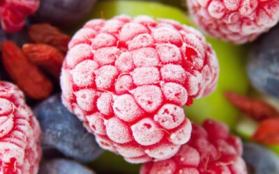 Zumit: Online-Vertrieb von gefrorenem Obst für Smoothies
